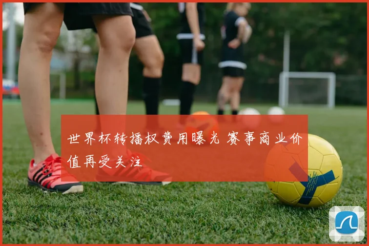 世界杯转播权费用曝光 赛事商业价值再受关注