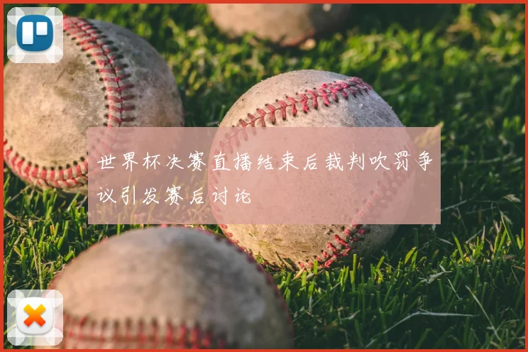 世界杯决赛直播结束后裁判吹罚争议引发赛后讨论
