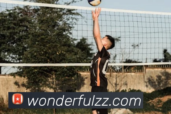 开云线上登录平台入口品牌故事