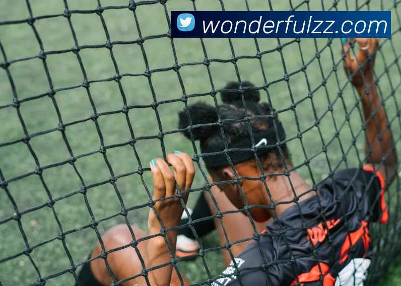 开云线上登录平台入口APP 体育赛事宣传图